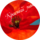 Красный мак